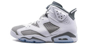 Air Jordan 6 "Cool Grey"